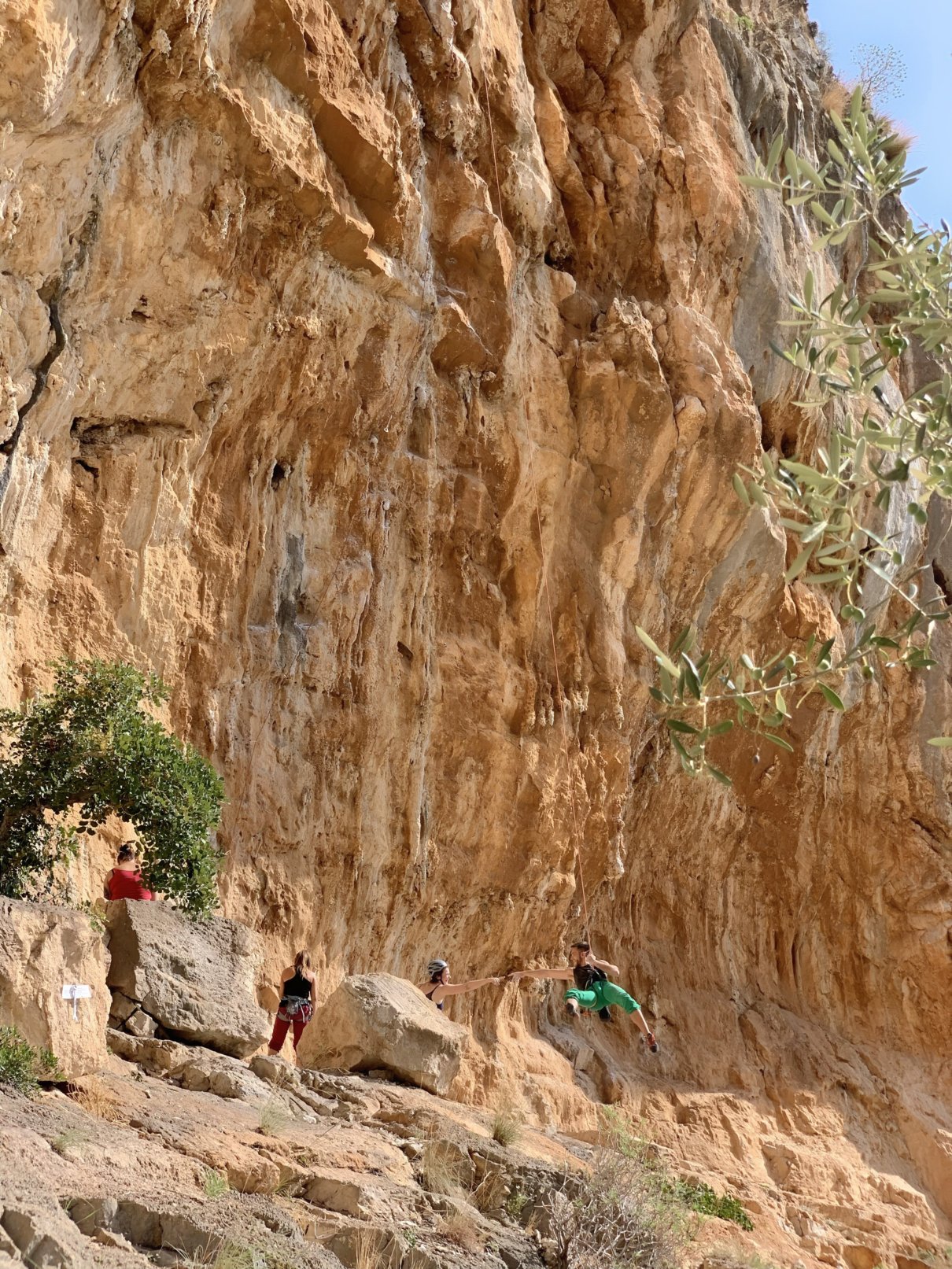 Nauka wspinania od podstaw – pierwszy kurs skałkowy